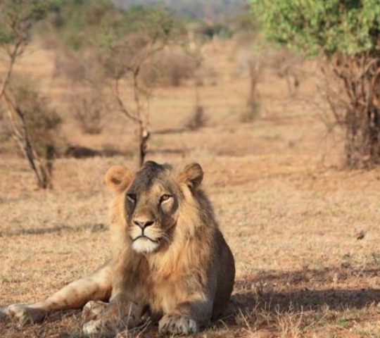 Samburu National Reserve