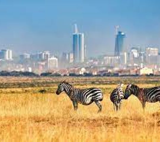 Nairobi National Park