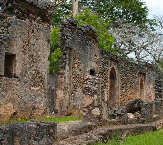 Gedi Ruins