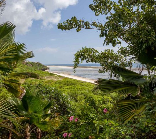 Red House Beach