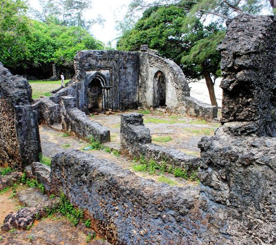 Jumba la Mtwana Ruins