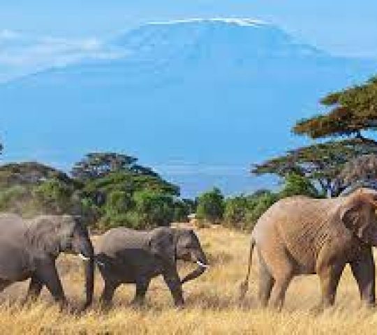 Ol Donyo Sabuk National Park