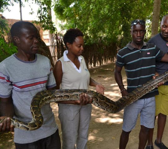 Bio-Ken Snake Farm