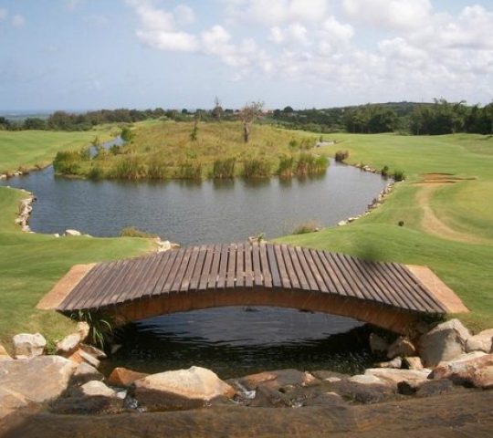 Vipingo Ridge